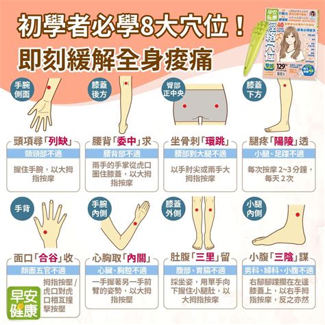 背穴|背部穴道圖大全，人體背部穴道按摩指壓、酸痛反射穴位詳解